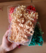 Dried flowers - Image 3