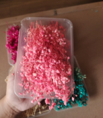 Dried flowers