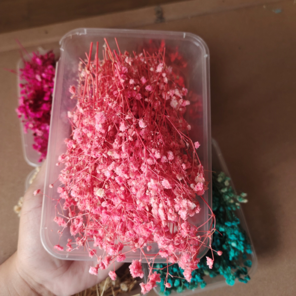 Dried flowers