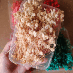 Dried Flowers New