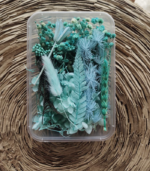 Dried flowers item2