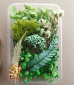 Dried flowers item1 - Image 2