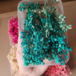 Dried flowers item4