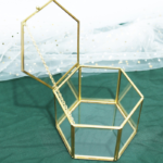 Glass Boxes